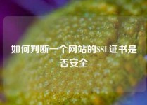 如何判断一个网站的SSL证书是否安全