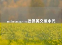 miibeian.gov.cn提供英文版本吗