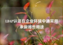 LDAP认证在企业环境中通常用来做哪些用途