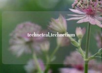 technetcal,technetium