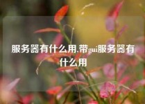 服务器有什么用,带gui服务器有什么用