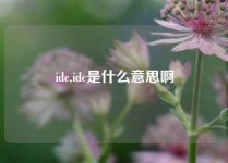 idc,idc是什么意思啊