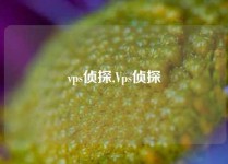 vps侦探,Vps侦探