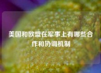 美国和欧盟在军事上有哪些合作和协调机制