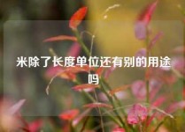 米除了长度单位还有别的用途吗
