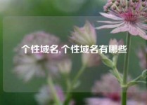 个性域名,个性域名有哪些