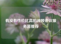 有没有性价比高的视频会议服务器推荐