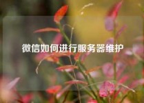 微信如何进行服务器维护