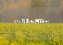 DNS 列表,dns列表6666