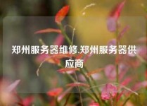 郑州服务器维修,郑州服务器供应商