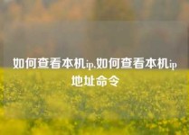 如何查看本机ip,如何查看本机ip地址命令