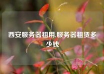 西安服务器租用,服务器租赁多少钱