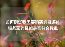 如何测试我需要购买的流媒体服务器的性能是否符合标准