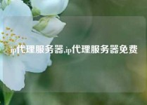 ip代理服务器,ip代理服务器免费