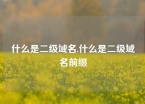 什么是二级域名,什么是二级域名前缀
