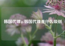 韩国代理ip,韩国代理是什么级别