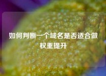 如何判断一个域名是否适合做权重提升