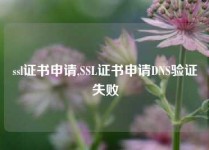 ssl证书申请,SSL证书申请DNS验证失败