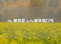 tftp 服务器 ip,tftp服务端口号