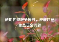 使用代理服务器时，应该注意哪些安全问题