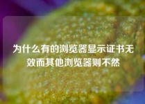 为什么有的浏览器显示证书无效而其他浏览器则不然
