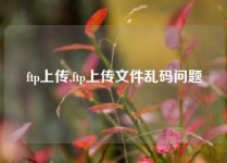 ftp上传,ftp上传文件乱码问题