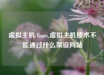 虚拟主机 linux,虚拟主机技术不能通过什么架设网站