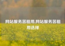 网站服务器租用,网站服务器租用选择