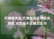 代理服务器,代理服务器可能有问题,或地址不正确怎么办