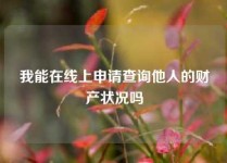 我能在线上申请查询他人的财产状况吗