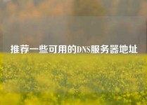 推荐一些可用的DNS服务器地址