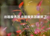 出租服务器,出租服务器被抓了