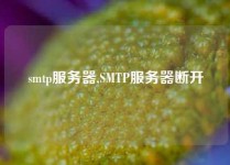 smtp服务器,SMTP服务器断开