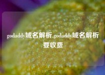 godaddy域名解析,godaddy域名解析要收费