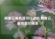 阿里云服务器可以退吗,阿里云服务器价格表