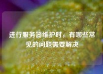 进行服务器维护时，有哪些常见的问题需要解决
