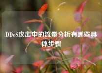 DDoS攻击中的流量分析有哪些具体步骤