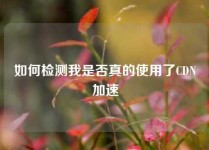 如何检测我是否真的使用了CDN加速