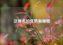 泛域名的优势有哪些