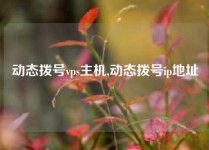 动态拨号vps主机,动态拨号ip地址