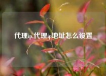 代理ip,代理ip地址怎么设置