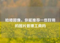 哈喽图像，你能推荐一些好用的图片管理工具吗