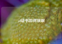 ssl证书如何获取