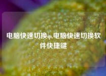 电脑快速切换ip,电脑快速切换软件快捷键