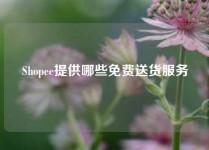 Shopee提供哪些免费送货服务
