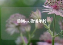 鲁诺vps,鲁诺年龄