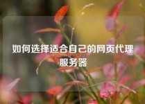 如何选择适合自己的网页代理服务器
