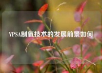 VPSA制氧技术的发展前景如何
