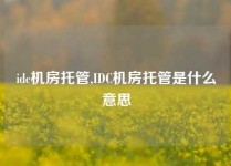 idc机房托管,IDC机房托管是什么意思