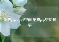 免费php mysql空间,免费php空间知乎